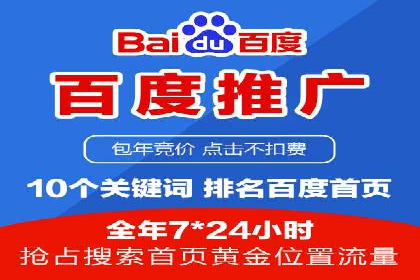 谷歌竞价广告的投放策略与成功案例分析